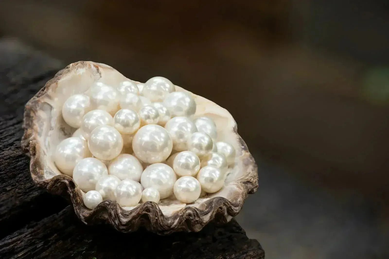 Perles : Vertus, Propriétés et Signification-Vindicta : Bijoux Argent 925 Massif, Luxe et Héritage