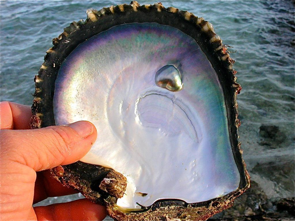 Perle Mabé : Origines, Propriétés et Bijouterie