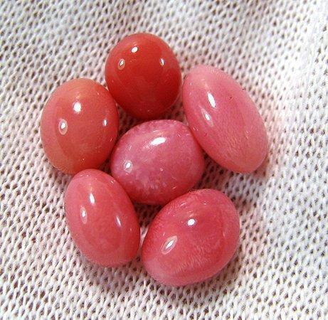 Perle Conch : Origines, Propriétés et Bijouterie