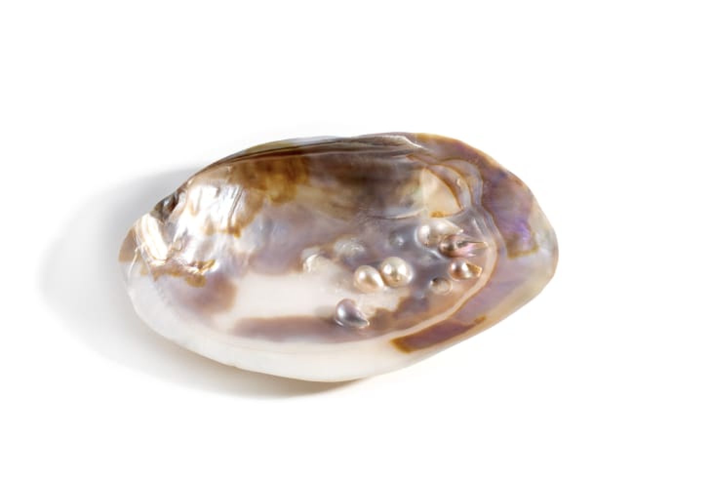 Perle Blister : Propriétés, Origines et Bijouterie